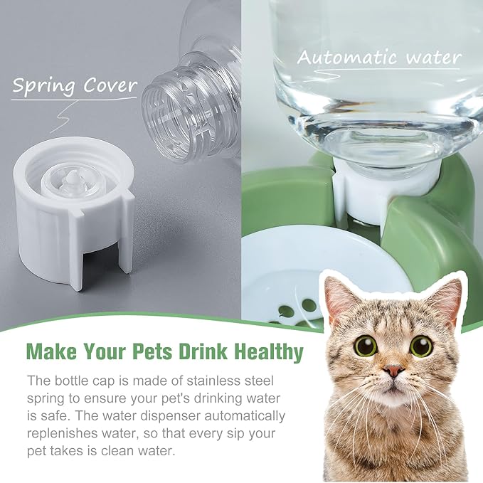 Dog Bowls, Cat Food and Water Bowl Set with Water Dispenser and Stainless Steel Bowl for Cats and Small Dogs - Green - PAWPICO