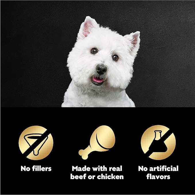 Cesar Wet Dog Food 40 Count Multipack - PAWPICO