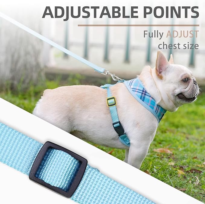 PUPTECK Soft Mesh Dog Harness and Leash Set Pet Puppy Cat Comfort Padded Vest No Pull Harnesses, Light Blue, M PUPTECK