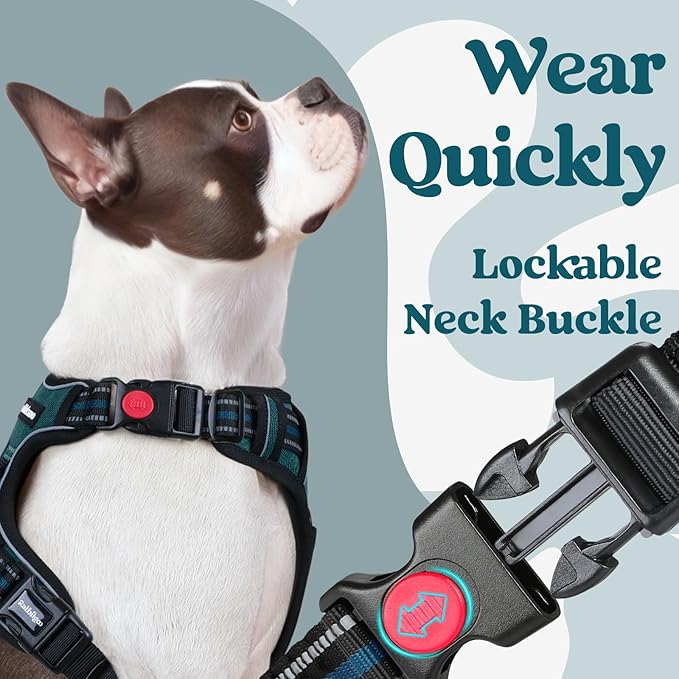 rabbitgoo Dog Harness Small Sized, No Pull Pet Harness with 3 Buckles, Adjustable Soft Padded Pooch Vest with Instant Control Handle, Easy Walking Reflective Pet Vest for Small Dogs, Blue Coral, S rabbitgoo