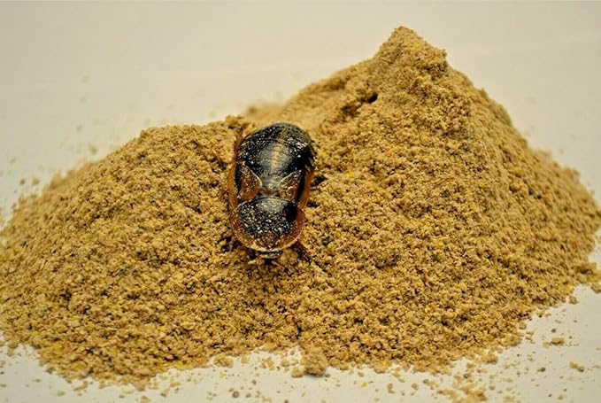 Premium Roach Chow/Cricket Chow Balanced Protein Diet by Five-Star Feeders (5 Pounds) PAWPICO