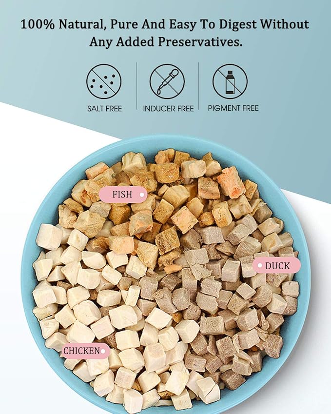 3 in 1 Meat Turtle Food - Chicken & Duck & Fish Meat Natural Freeze Dried Human-Grade Turtle Treats BNYEE