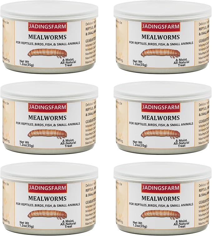 6 Pack Canned Mealworms for Reptiles, Fish, Birds and Small Animals, Meal Worms, Healthy High Protein Treat, Reptile Bird Fish Food 7.2 Ounces Total Jadingfarm