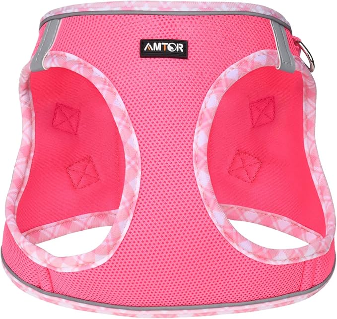 AMTOR Small Dog Harness with Leash Set, No Escape Easy Walk Puppy Harnesses for Training Walking, Step-in Reflective Soft Dogs Vest for XS S Medium Extra-Small Large Sized Dog(Fuchsia,L) AMTOR
