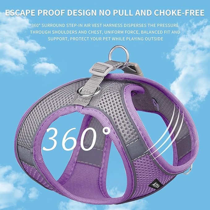 AIITLE Comfortable Dog Harness and Leash Set for Walking - Spring Step in Vest Harness,Reflective Bands, Adjustable No Pull Puppy Essentials, for Small Dogs and House Cats Purple XS AIITLE-FORPETSBETTERLIFE