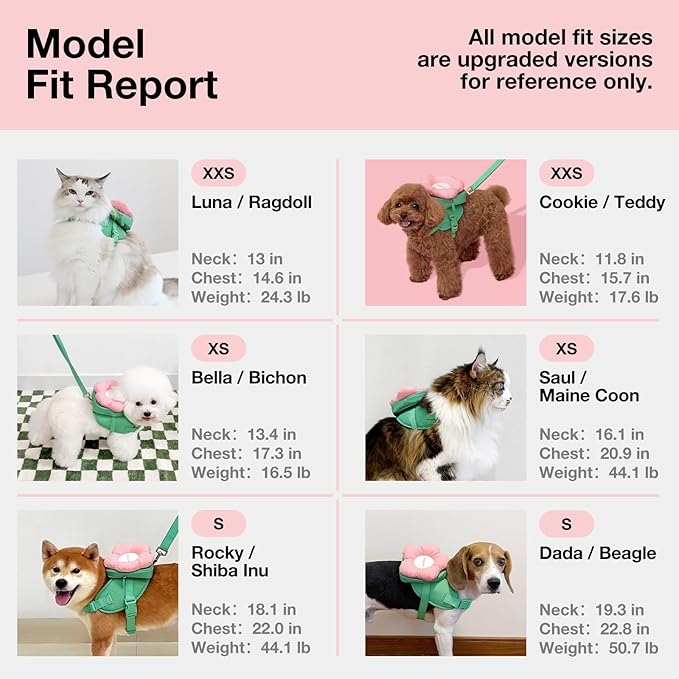 VETRESKA Flora Dog Harness, Leash and Collar Set, No Pull Dog Vest Harness for Walking and Training, Adjustable, Easy Control and Soft Padded Pet Harness and Backpack for Small Medium Large Dogs, S VETRESKA