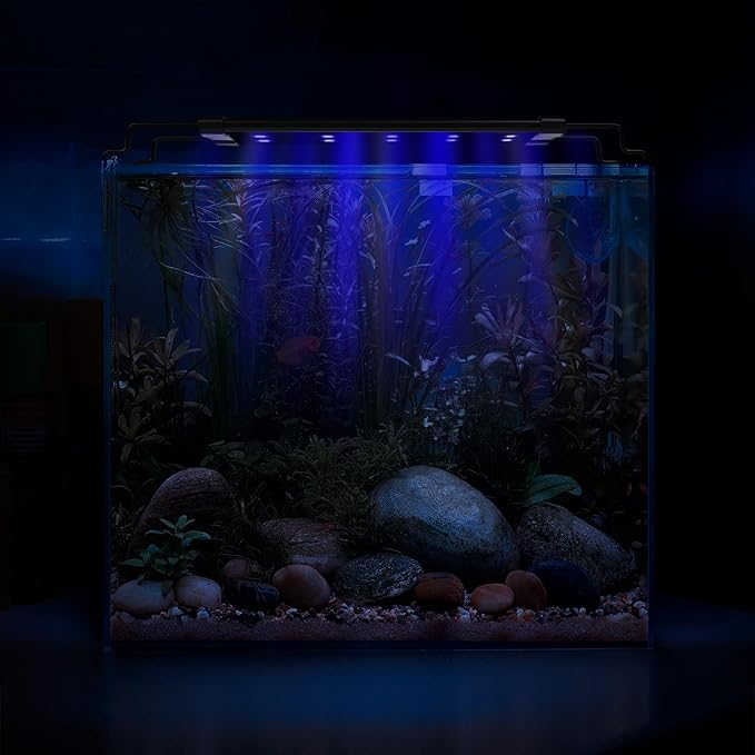Zingbabu USB Aquarium Light,10W Full Spectrum Fish Tank Lights with Timer, Adjustable Extendable Bracket for 12-24 Inch Aquarium ProfessionalPhotographyLight