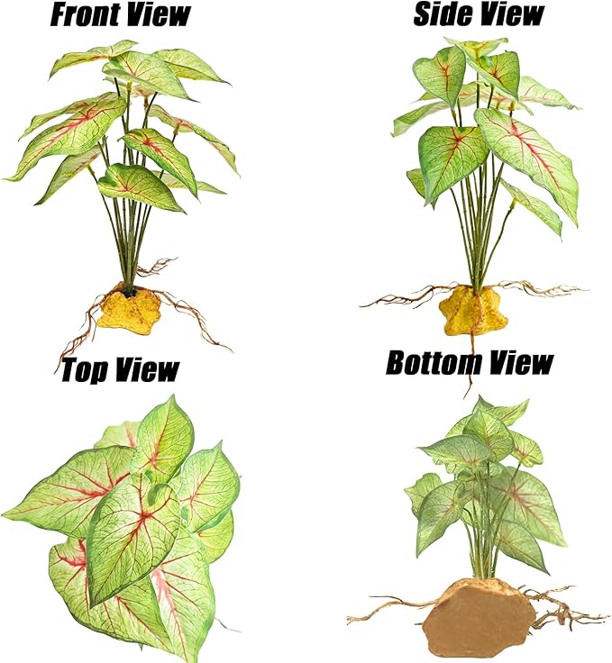 Woyrise Reptile Artificial Plants for Terrarium Decor, Amphibian Habitat Decorations Bearded Dragon Tank Accessories fit Crested Gecko Leopard Lizard Chameleon Ball Python Snake Frog - Fake Caladium Woyrise
