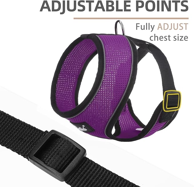PUPTECK Soft Mesh Dog Harness and Leash Set Pet Puppy Cat Comfort Padded Vest No Pull Harnesses, Solid Purple, M PUPTECK
