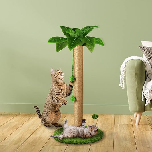 Dohump Cat Scratching Post, 31" Tall Scratch Tree with Premium Sisal Rope, Two Interactive Dangling Balls and Spring Ball Toys for Indoor Kittens and Cats - PAWPICO