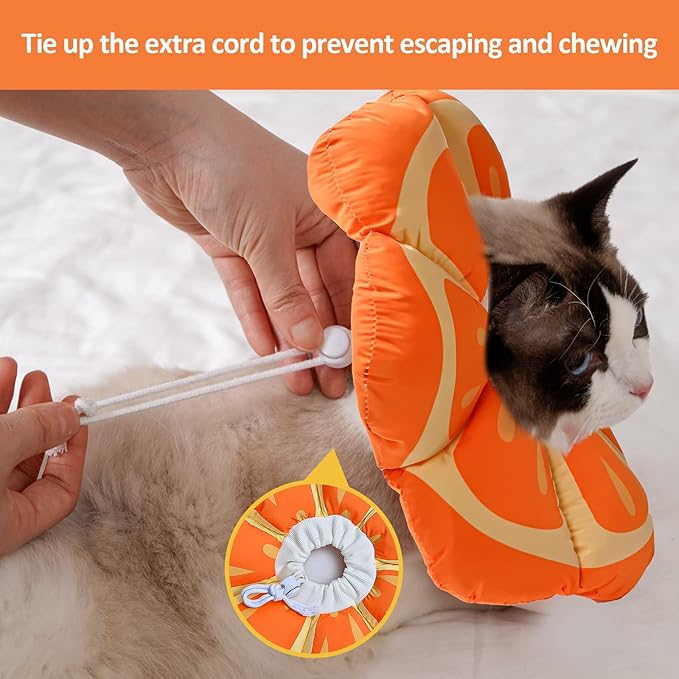 Avont Cat Cone Collar Soft, Adjustable Recovery E Collar Alternative for Cats Kittens Puppies, Elizabethan Neck Cone of Shame to Prevent Licking Biting After Surgery Protect Wounds -Tangerine(L) Avont