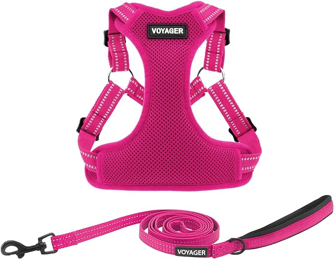 Best Pet Supplies Voyager Adjustable Dog Harness Leash Set with Reflective Stripes for Walking Heavy-Duty Full Body No Pull Vest with Leash D-Ring, Breathable All-Weather - Harness (Fuchsia), XS BestPetSuppliesLLC