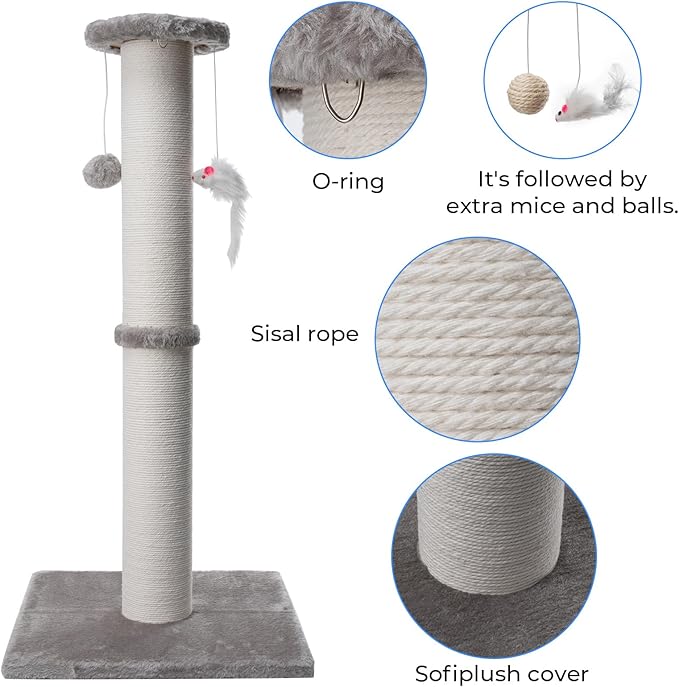 34 Inch Tall Cat Scratching Post for Multi Cat - Cat Scratching Post for Indoor Cats and Kitten with Velvet Large Diameter Scratching Post Top & 2 Hanging Ball Toy - PAWPICO