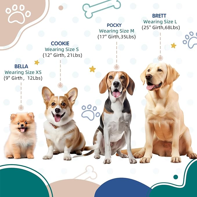 Tri-Color Dog Harness, Adjustable Step-in Design no Pull Dog Harness for Small Dogs, Heavy Duty Puppy Harness, Easy for Walking Dog Harness for Small Dogs, xs Dog Harness Green Blue White Pawhuggies