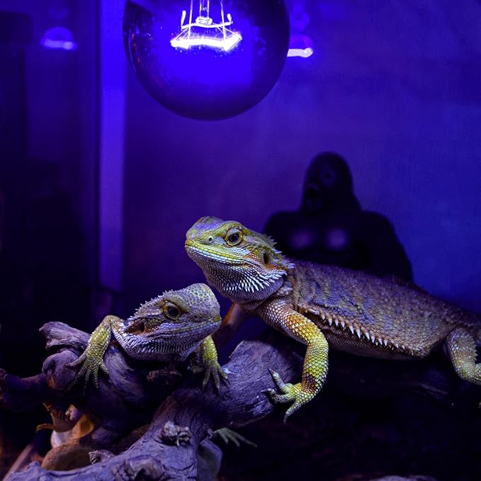 REPTIZOO 2PCS Reptile Heat Lamp, 150W Night Heat Lamp Moonlight Bulb Purple Infrared Heating Lamp Simulate Natural Moonlight Night Heat Bulb for Reptile Amphibian REPTIZOO