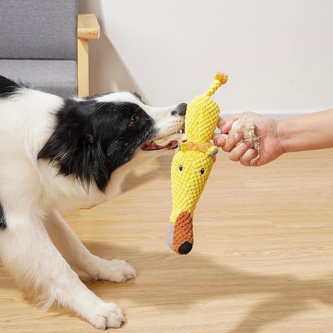 Sedioso Dog Toys, Dog Plush Toy for Large Breed, Cute Squeaky Dog Toys with Crinkle Paper, Dog Chew Toys for Puppy, Small, Middle, Big Dogs (Lion(Yellow)) - PAWPICO