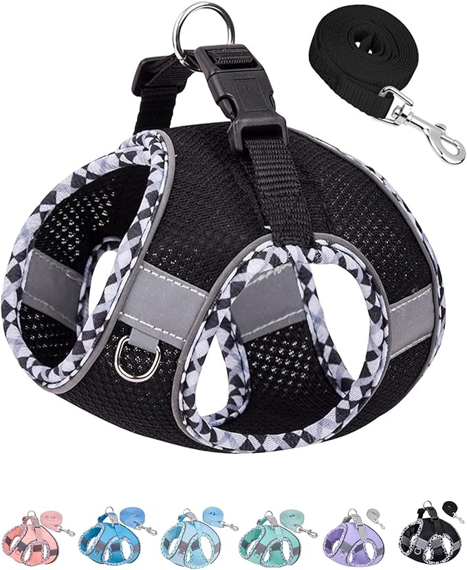 Petank Dog Harness for Small Medium Dogs No Pull, Puppy Harness and Leash Set, Easy Walk Dog Harness for Walking, Running, Training, Small Dog Harness, Medium Dog Harness (Black, XXS) Petank