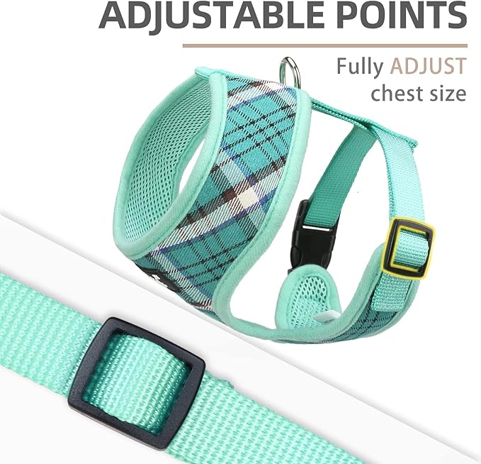 PUPTECK Soft Mesh Dog Harness and Leash Set Pet Puppy Cat Comfort Padded Vest No Pull Harnesses, Green, XS PUPTECK