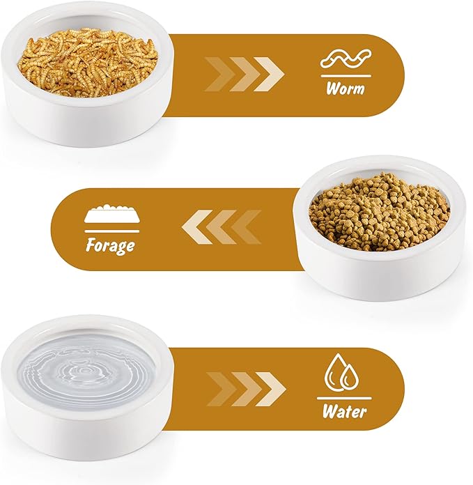 Reptile Food Dish Bowl, Worm Water Dish Small (2.75in) Lizard Gecko Ceramic Pet Bowl, Mealworms Bowls for Leopard Bearded Dragon Chameleon Hermit Crab Dubia Cricket Anti-Escape Superworm Feeder 2 Pack HELIME