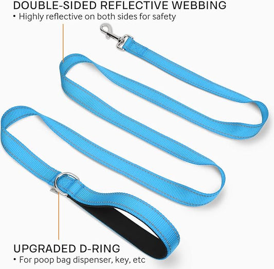 Joytale Double-Sided Reflective Dog Leash, 6 FT/5 FT/4 FT, Padded Handle Nylon Heavy Duty Leashes for Small & Medium Dogs Walking, Sky Blue, 6FT Joytale