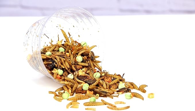 Snout and Shell - Hermit Crab Food - Bug Blend Mix with Mealworms, Crickets, Silkworm Pupae, Black Soldier Fly Larvae Veggies and More SNOUTANDSHELL