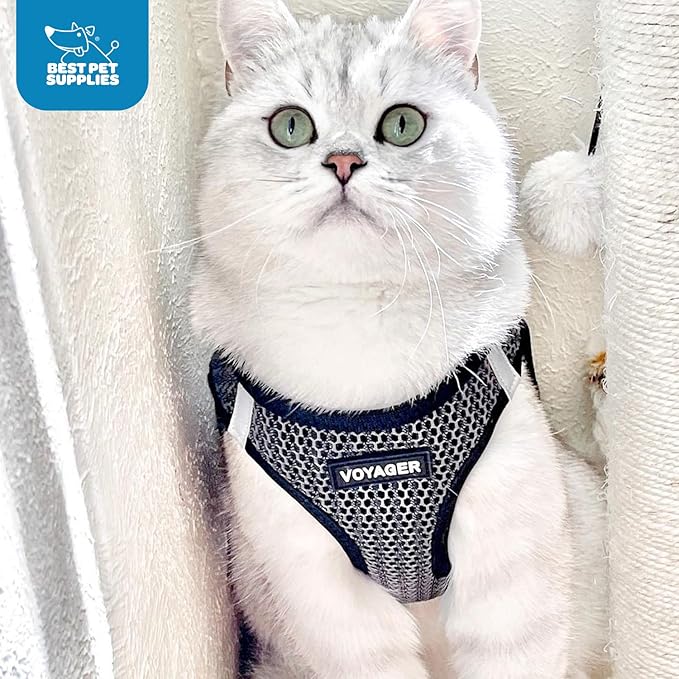Voyager Step-in Air Dog Harness - All Weather Mesh, Reflective, No Pull Harness for Small, Medium Dogs, Cats - Secure with Hook & Loop Fastener, Buckle, Double D-Rings - Gray 2-Tone, L BestPetSuppliesLLC