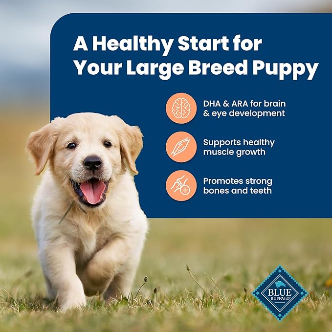 Blue Buffalo Life Protection Formula Large Breed Puppy Dry Dog Food with DHA, Vital Nutrients & Antioxidants, Made with Natural Ingredients, Chicken & Brown Rice Recipe, 30-lb. Bag - PAWPICO