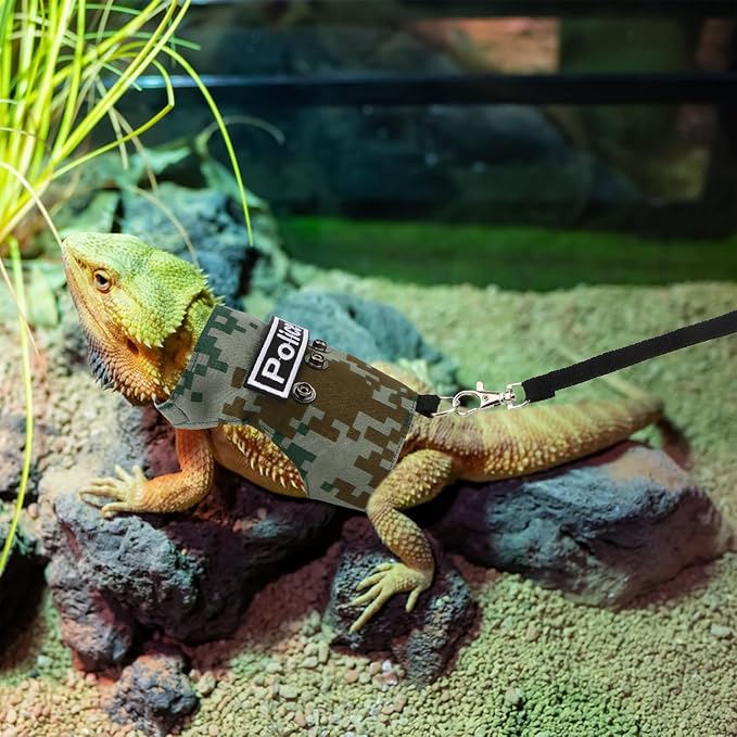 Hypeety Bearded Dragon Harness and Leash Set Adjustable Escape Proof Lizard Leash 4 Pack Outdoor Walking Training Leash and Harness for Bearded Dragon Lizard Reptiles (Green) Hypeety