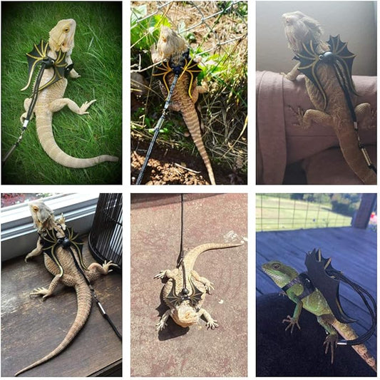 ADOGGYGO Bearded Dragon Lizard Leash Harness - 3 Size Pack Dinosaur Wing Lizard Harness Leash for Bearded Dragon Lizard Reptiles ADOGGYGO