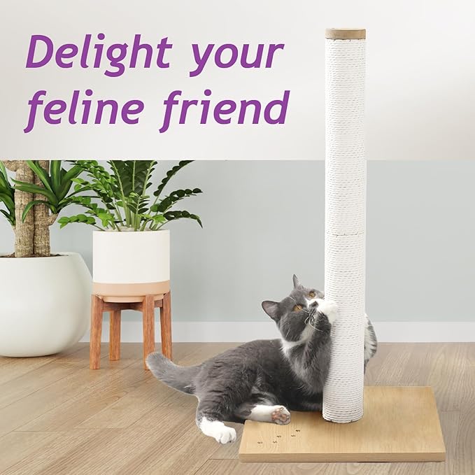 Necoichi 31.5” Tall Cat Scratching Post Kitten Scratcher Paper Rope Scratch Posts Trees with Hanging for Indoor Cats (31.5 inches for Adult Cats, Large, Oak) - PAWPICO