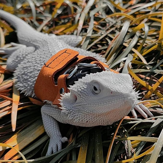 3 Pack Bearded Dragon Harness and Leash Set - Adjustable Soft Leather Lizard Harness with Retractable Leash Small Animal Traction Rope Walking Vest Accessories for Reptile Squirrel Rat (3 Pack) SEZDEKI