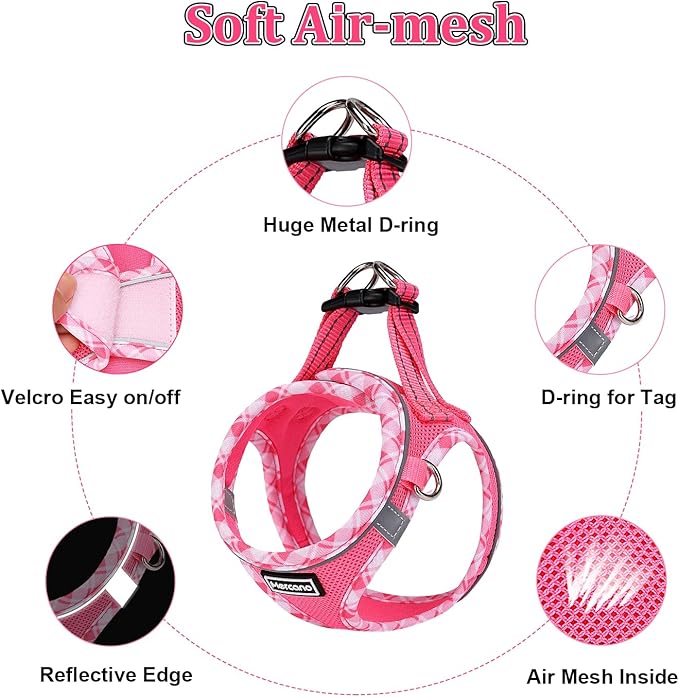 Mercano Soft Mesh Dog Harness and Leash Set, No-Chock Step-in Reflective Breathable Lightweight Easy Walk Vest Harnesses with Safety Buckle for Small Medium Dogs, Cats (XL, Fuchsia) PAWPICO
