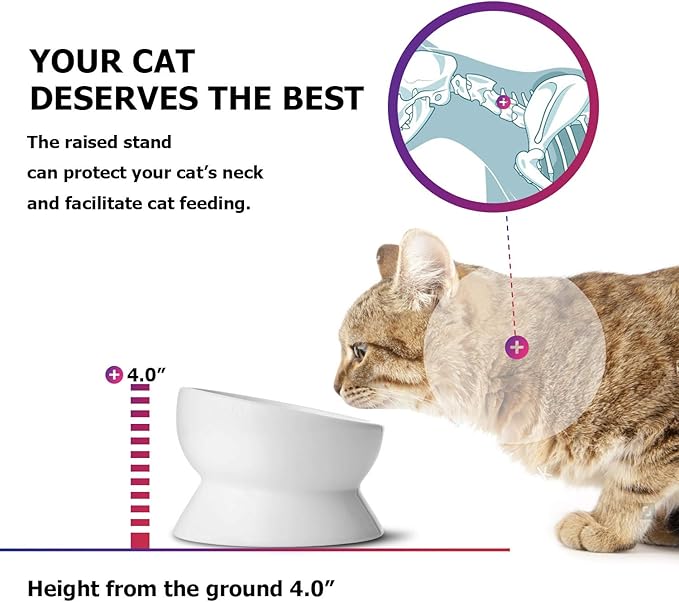 Y YHY Elevated Cat Food Bowl, Raised Pet Food and Water Bowl for Cat and Small Dog, Tilted Ceramic Water Bowl No Spill,15oz, Dishwasher Safe - PAWPICO
