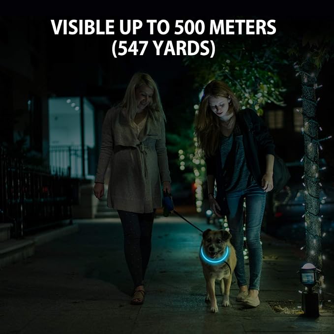 2-Pack LED Dog Collar, Light Up Dog Collars,Rechargeable Dog Lights for Night Walking,Universal, Reusable Safety Necklace for Small Medium Large Dogs Green&Blue NOVKIN