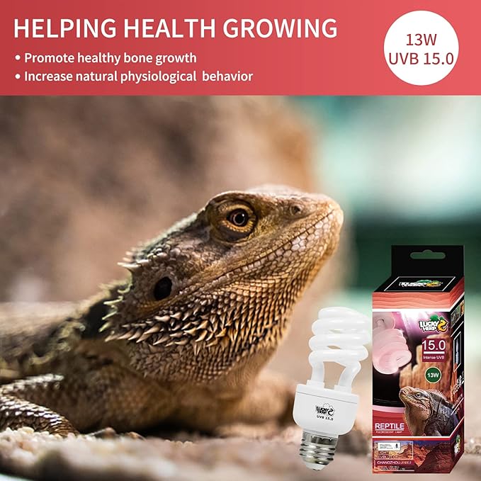 LUCKY HERP 13W UVB 15.0 Intense UVA UVB Compact Flouorescent Lamp Desert Terrarium Light Bulb for Reptile and Amphibian LUCKYHERP