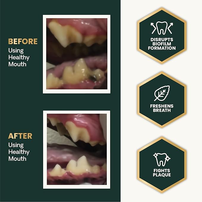 VetriScience Healthy Mouth Dog Dental Powder, Perio Support Clinically Tested Dental Supplement for Small, Medium & Large Breed Dogs, Freshen Breath, Control Plaque & Tartar, Oral Health, 4.2 oz VetriScienceLaboratories