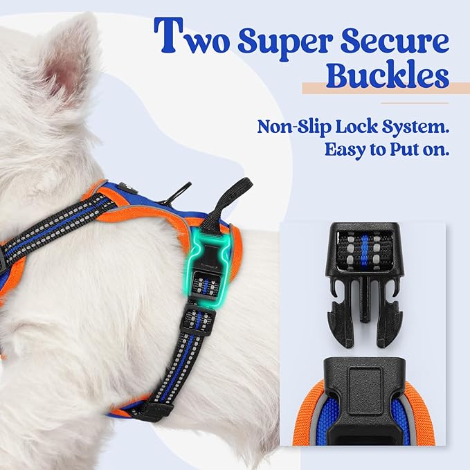 rabbitgoo Dog Harness No Pull with 2 Leash Clips, Adjustable Soft Padded, Reflective Oxford No Choke Pet Vest with Easy Control Handle for Puppy, Blue & Orange, XS rabbitgoo
