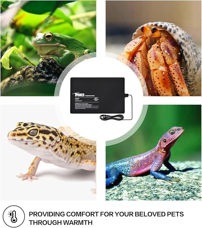 iPower Reptile Heat Pad Under Tank Terrarium Warmer Heating Mat for Turtle, Lizard, Frog, Snake, Reptile, and Other Small Animals, 8X12 Inch, 16W, 2 Pack iPower