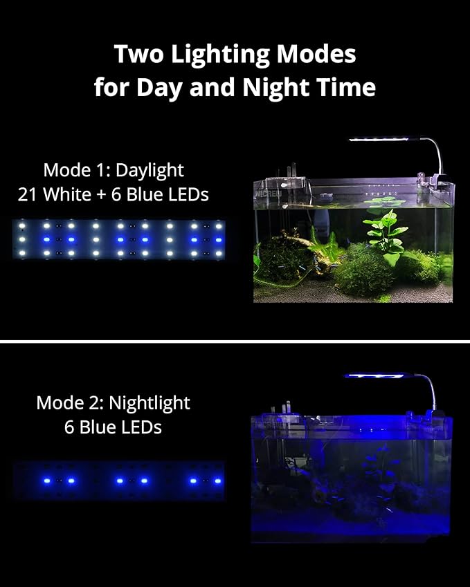 NICREW Fish Tank Clip on Light, Clamp Aquarium Light with White and Blue LEDs, 480LM, 10 Watts NICREW
