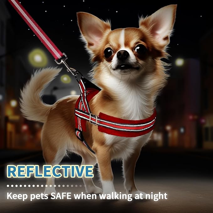 SlowTon No Pull Small Dog Harness and Leash Set, Puppy Soft Vest Harness Neck & Chest Adjustable, Reflective Lightweight Harness & Anti-Twist Pet Lead Combo for Small Medium Dogs (Red, XS) SlowTon