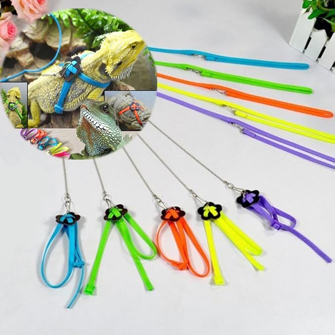 Hypeety Reptile Lizard Outdoor Walk Adjustable Harness Leash Anti-bite Light Soft Bearded Dragon Accessories Parrot African Grey Cockatoo Macaw Ringneck Outside Free Lovebird Supplies (Random Color) Hypeety