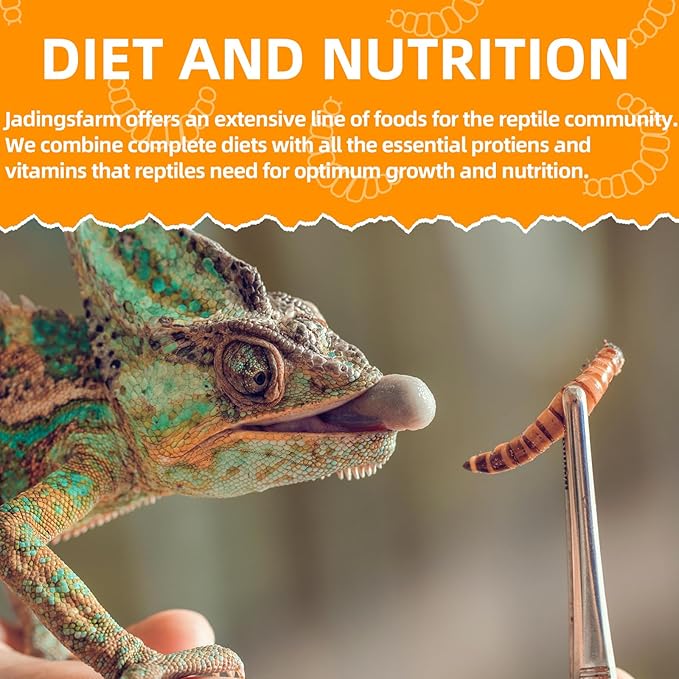 6 Pack Canned Mealworms for Reptiles, Fish, Birds and Small Animals, Meal Worms, Healthy High Protein Treat, Reptile Bird Fish Food 7.2 Ounces Total Jadingfarm