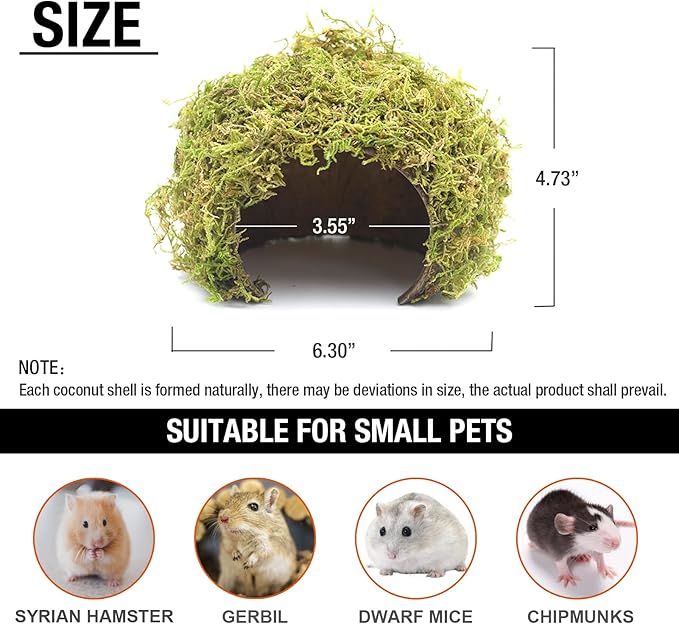 Hamster Hideaway,Hamster Hideout,Mossy Cave Hide,Hamster House/Hides,Hamster Cage Accessories for Gguinea Pig/Hedgehogs/Gliders/Rats/Mice and Other Small Animals (Large) SanmooAio
