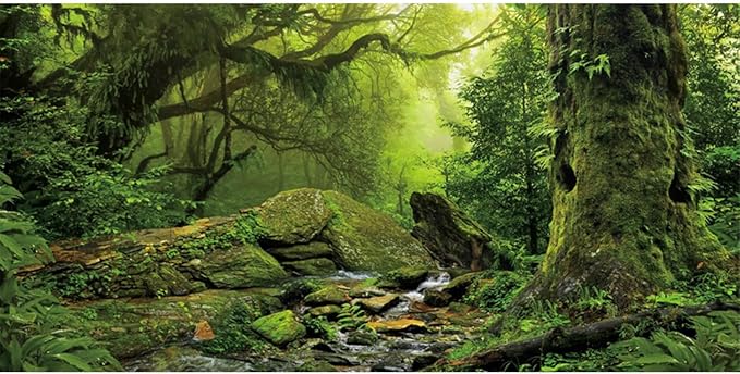 AWERT Tropical Forest Terrarium Background Stream Green Huge Tree Reptile Habitat Background Foggy Rainforest Aquarium Background 72x16 inches Durable Polyester Background HOME