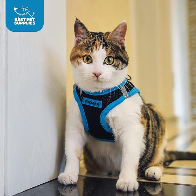 Voyager Step-In Air Dog Harness - All Weather Mesh, Reflective, No Pull Harness for Small, Medium Dogs, Cats - Secure with Hook & Loop Fastener, Buckle, Double D-Rings - Blue, XXXS BestPetSuppliesLLC