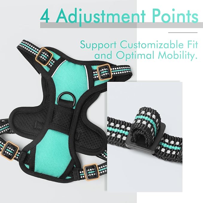rabbitgoo Dog Harness, No-Pull Pet Harness with 2 Leash Clips, Adjustable Soft Padded Dog Vest, Reflective No-Choke Pet Oxford Vest with Easy Control Handle for Small Dogs, Turquoise, XS - PAWPICO
