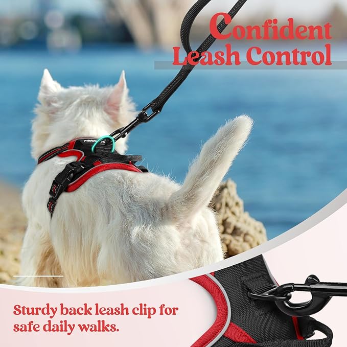 rabbitgoo Dog Harness No Pull with 2 Leash Clips, Adjustable Soft Padded, Reflective Oxford No Choke Pet Vest with Easy Control Handle for Puppy, Black & Red, XS rabbitgoo