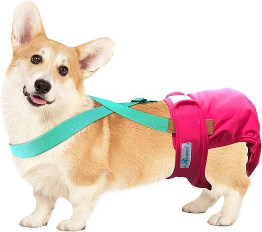 Paw Inspired Dog Diaper Suspenders with Velcro Fasteners | Stretchy Adjustable Suspenders for Female and Male Disposable and Washable Diapers | Fits Small, Medium and Large Size Pets (M/L, Aqua) - PAWPICO