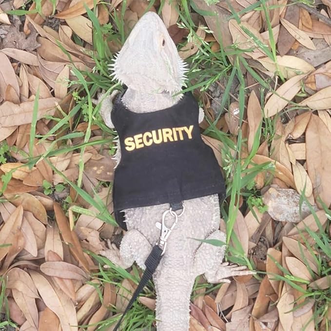 Bearded Dragon Harness and Leash Set, Reptile Lizard Vest Pet Tank Accessories Bearded Dragon Clothes with 5ft Leash Kit YOUALSO
