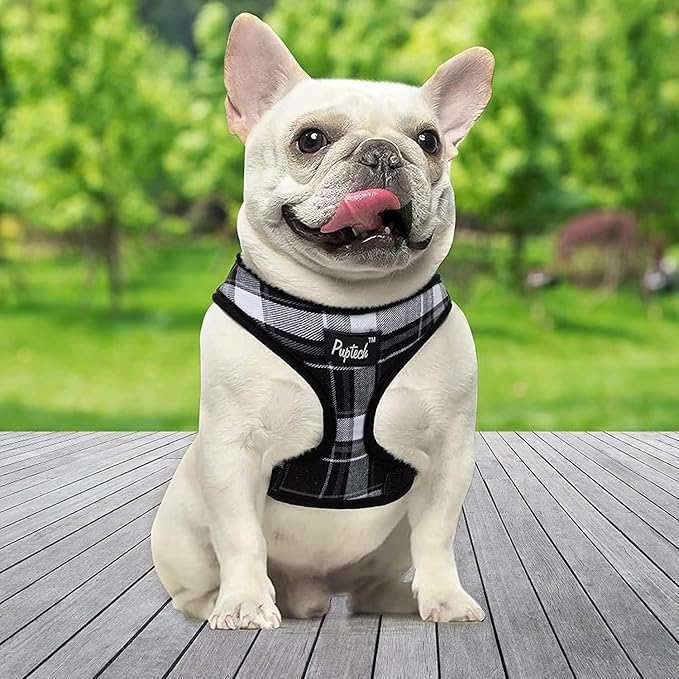 PUPTECK Soft Mesh Dog Harness and Leash Set Pet Puppy Cat Comfort Padded Vest No Pull Harnesses, Black, L PUPTECK
